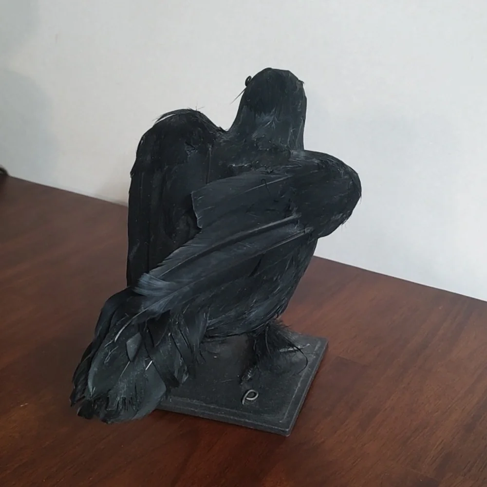 Black Raven Crow Sculpture Real Feathers Bird Halloween Decor Movie Set Prop - Picture 5 of 14